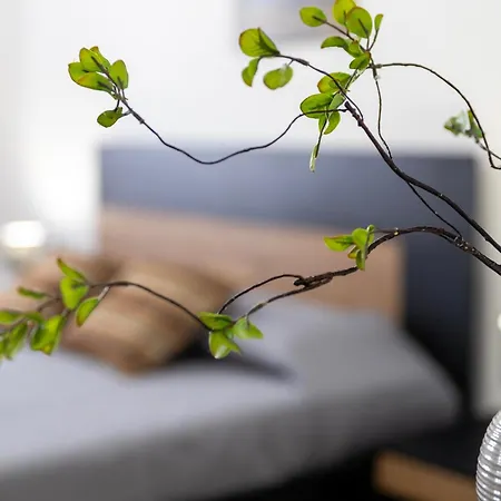 Sandlight - Vicino Alle Spiagge 6 Posti Letto *